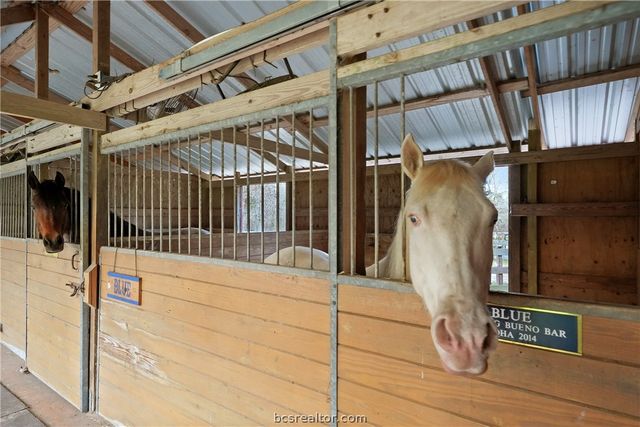 26000 Pine Shadows Drive, Hockley, TX 77447