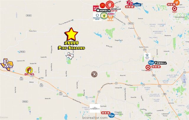 26000 Pine Shadows Drive, Hockley, TX 77447