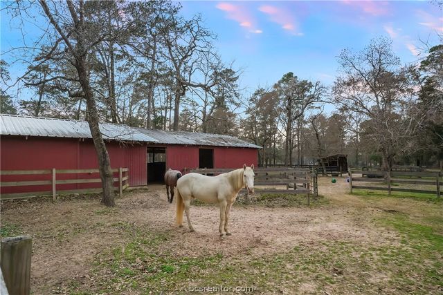 26000 Pine Shadows Drive, Hockley, TX 77447