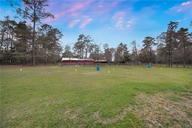 26000 Pine Shadows Drive, Hockley, TX 77447