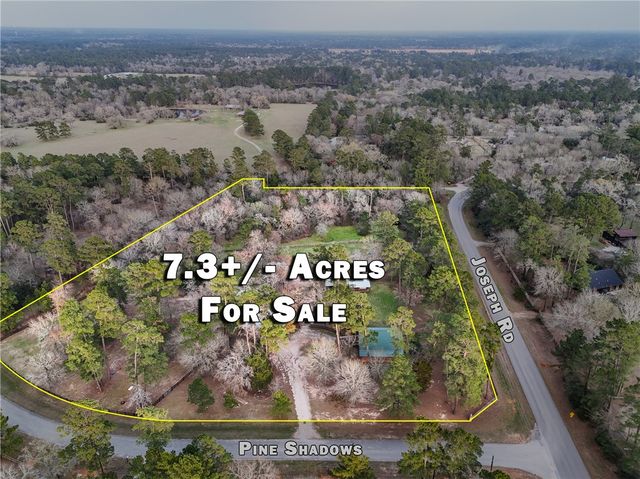 26000 Pine Shadows Drive, Hockley, TX 77447