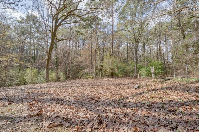 5306 Indian Springs, Northport, AL 35473