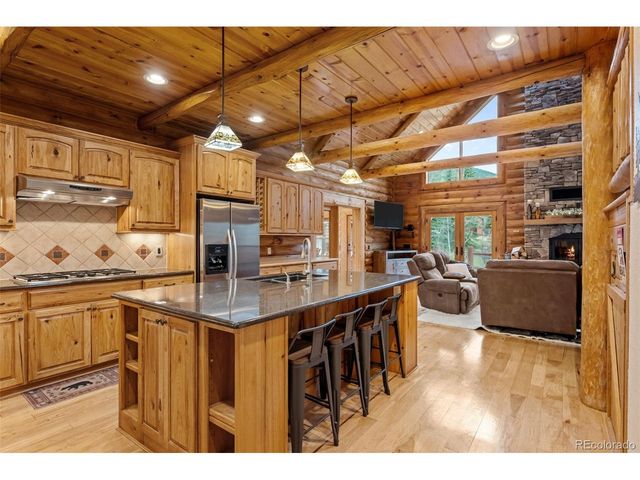 22 Buckskin Trl, Idaho Springs, CO 80452