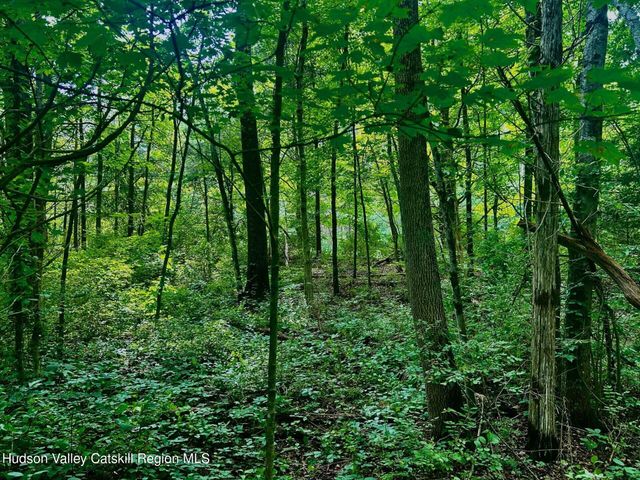 980 N Quaker Lane, Staatsburg, NY 12580