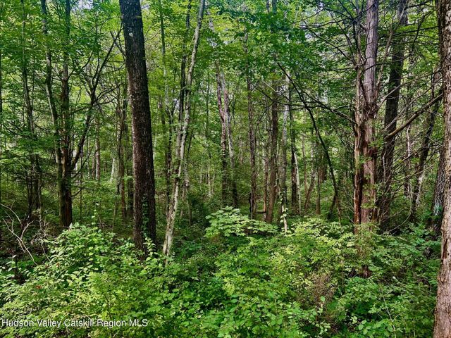 980 N Quaker Lane, Staatsburg, NY 12580