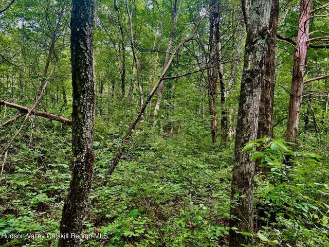 980 N Quaker Lane, Staatsburg, NY 12580