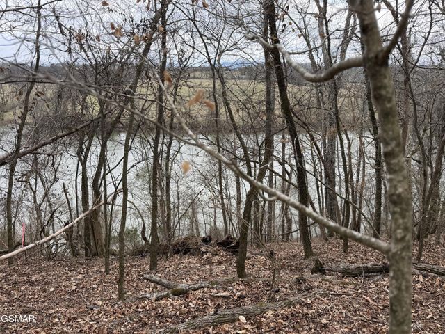 6 John Spears Way, Sevierville, TN 37876