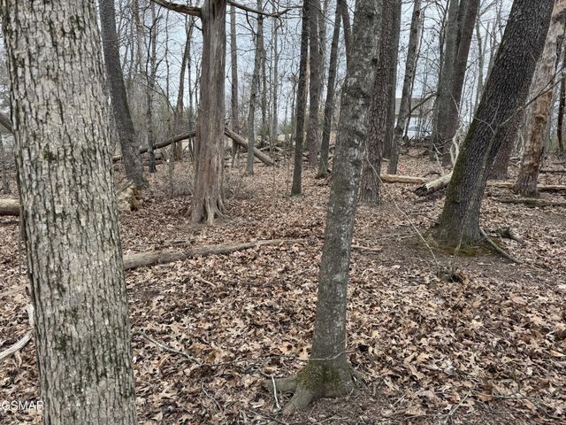 6 John Spears Way, Sevierville, TN 37876
