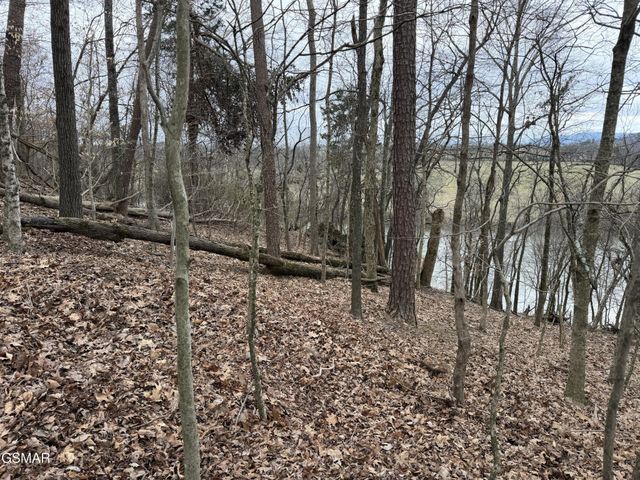 6 John Spears Way, Sevierville, TN 37876