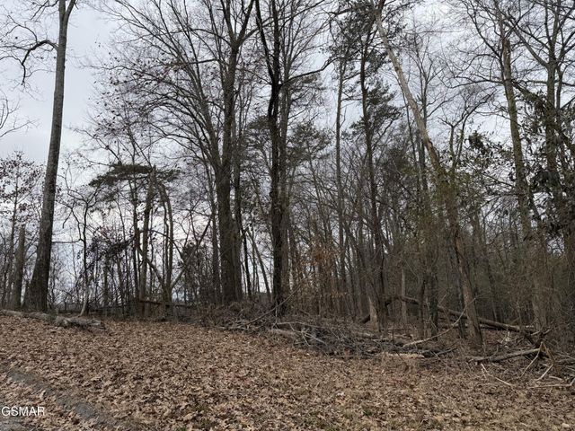 6 John Spears Way, Sevierville, TN 37876
