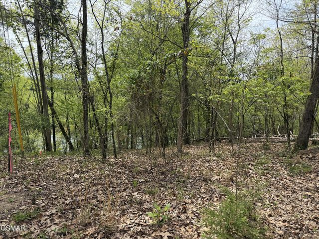 6 John Spears Way, Sevierville, TN 37876