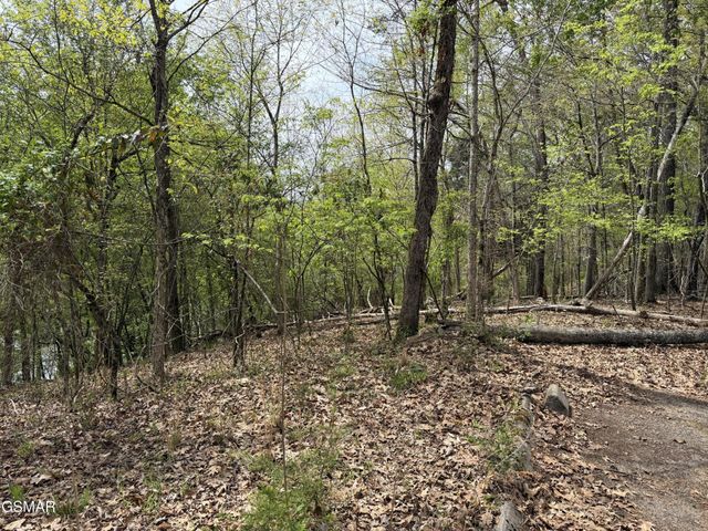 6 John Spears Way, Sevierville, TN 37876