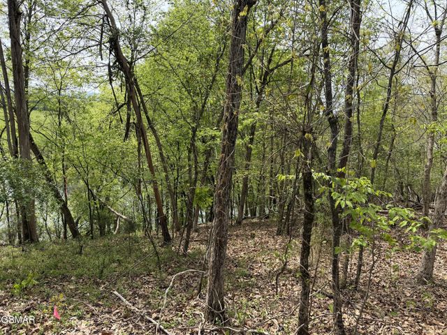 6 John Spears Way, Sevierville, TN 37876