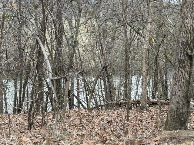 6 John Spears Way, Sevierville, TN 37876
