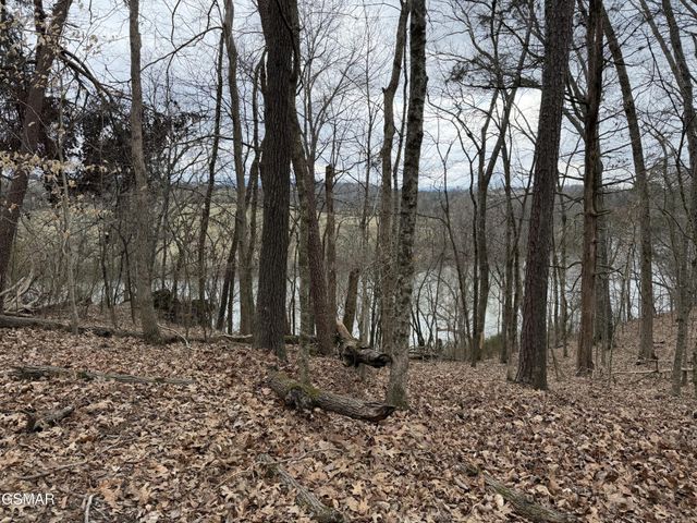 6 John Spears Way, Sevierville, TN 37876