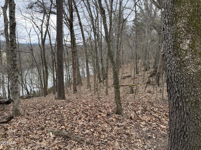 6 John Spears Way, Sevierville, TN 37876