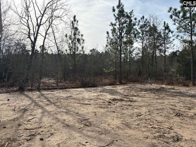 1811 Martin Smith Road, Leesville, SC 29070