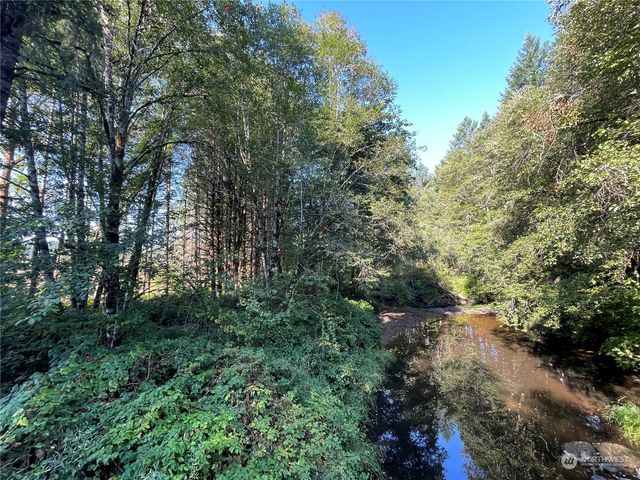 0 Salmon Creek Road, Toledo, WA 98591
