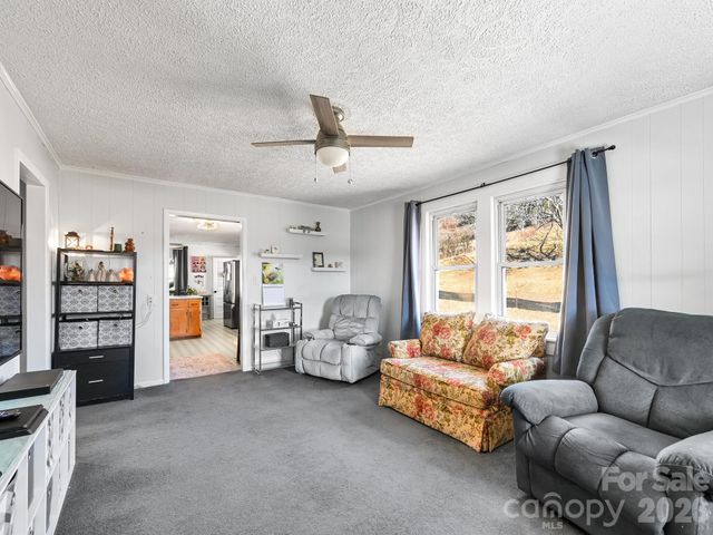 2313 Hyder Mountain Road, Clyde, NC 28721