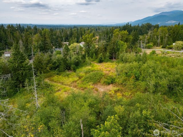 3100 Mount Baker Highway, Bellingham, WA 98226