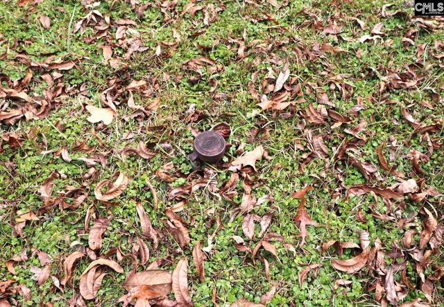 2406 Blossom Street, Columbia, SC 29205