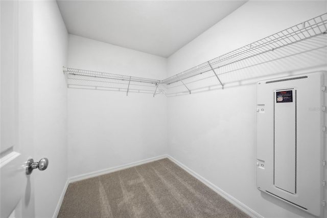 8879 COQUI SONG LANE, Land O Lakes, FL 34637