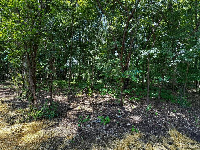 1366 Conge Drive, Bloomfield Hills, MI 48304