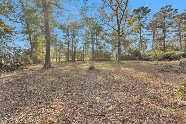 75 Pavey Circle, New Waverly, TX 77358