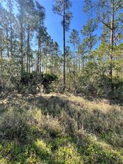ALTHEA DRIVE, Indian Lake Estates, FL 33855