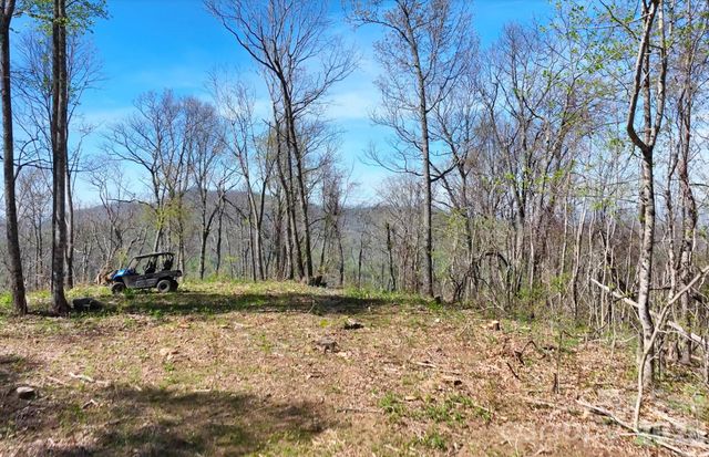 48 Benfield Road, Weaverville, NC 28787