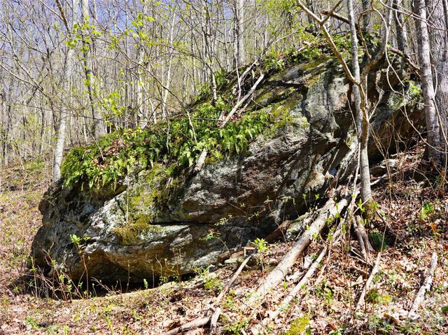 48 Benfield Road, Weaverville, NC 28787