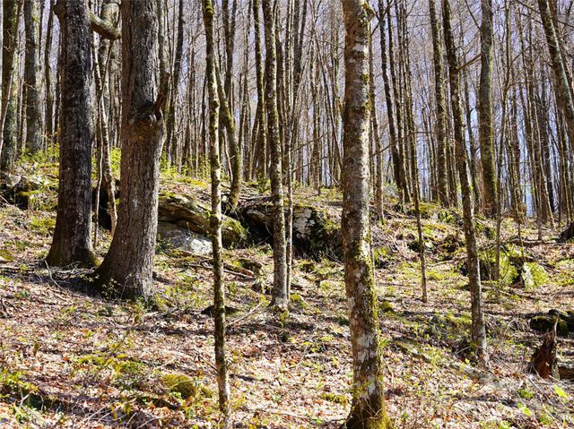 48 Benfield Road, Weaverville, NC 28787
