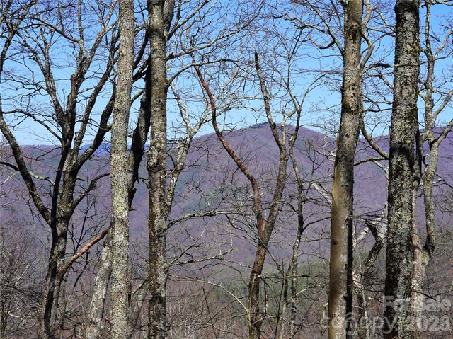 48 Benfield Road, Weaverville, NC 28787