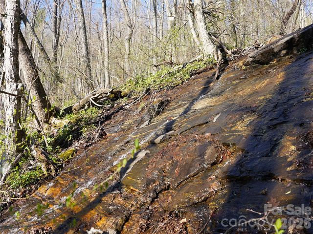 48 Benfield Road, Weaverville, NC 28787