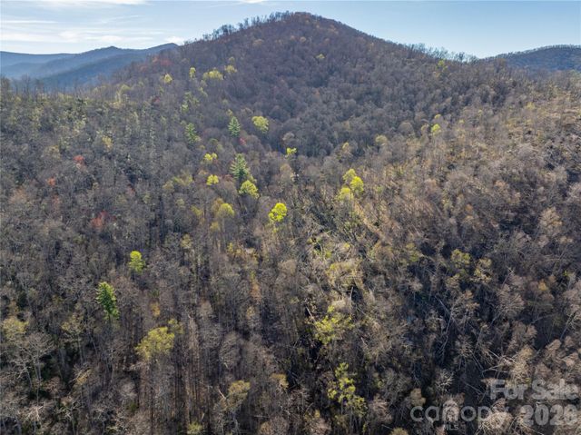 48 Benfield Road, Weaverville, NC 28787