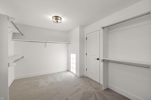 11851 Ovation Court Court, Shelby Twp, MI 48315