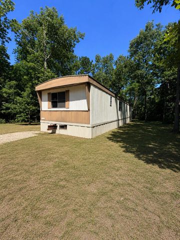 145 St Regis, Livingston, TX 77351