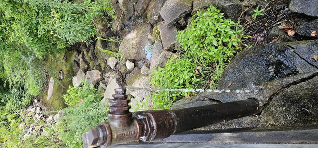 610 Hampton Street, Elloree, SC 29047