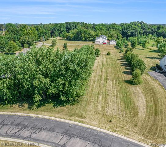 11490 Castleton Court, Dexter, MI 48130