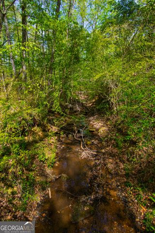 476 Wildwood Plantation Drive, Cataula, GA 31804