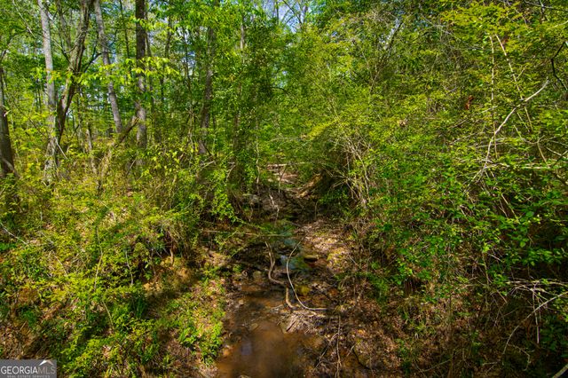 476 Wildwood Plantation Drive, Cataula, GA 31804