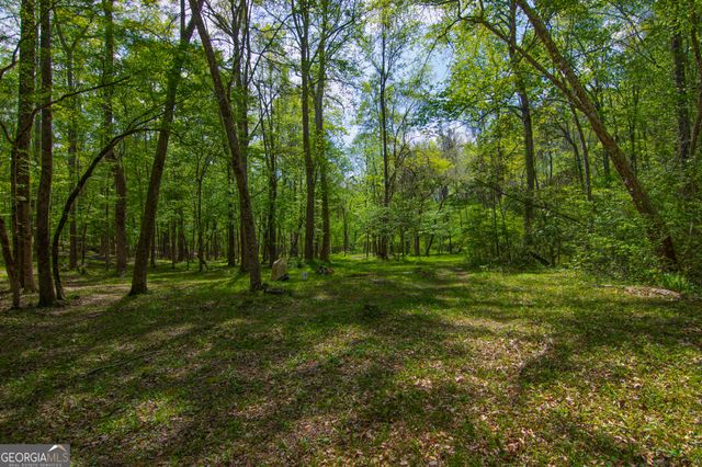 476 Wildwood Plantation Drive, Cataula, GA 31804
