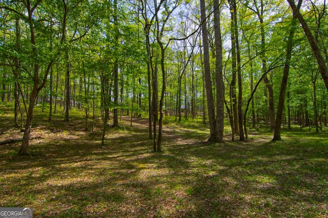 476 Wildwood Plantation Drive, Cataula, GA 31804