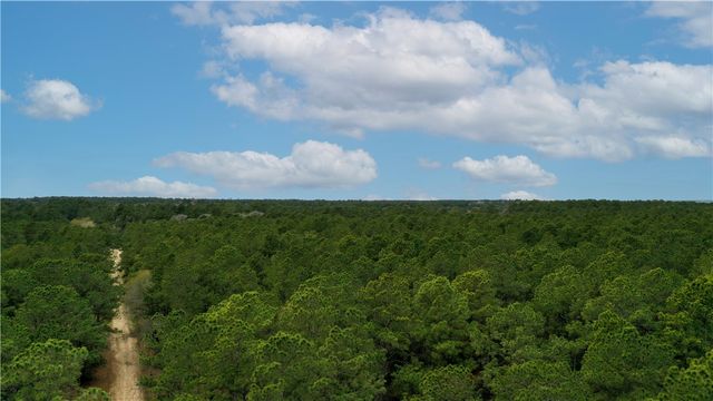 TBD Lone Star Road, Navasota, TX 77868