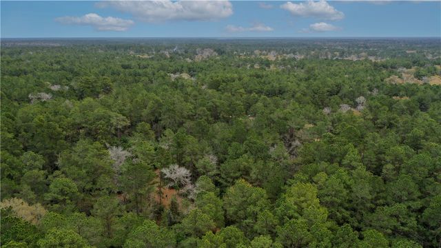 TBD Lone Star Road, Navasota, TX 77868