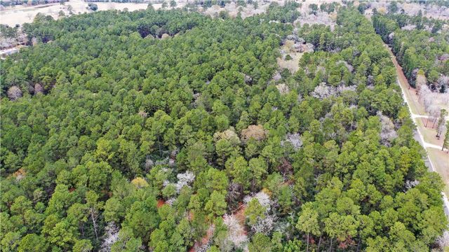 TBD Lone Star Road, Navasota, TX 77868