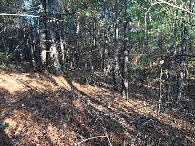 19d&E Braves Landing, Murphy, NC 28906