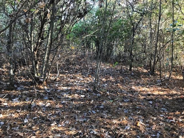 19d&E Braves Landing, Murphy, NC 28906