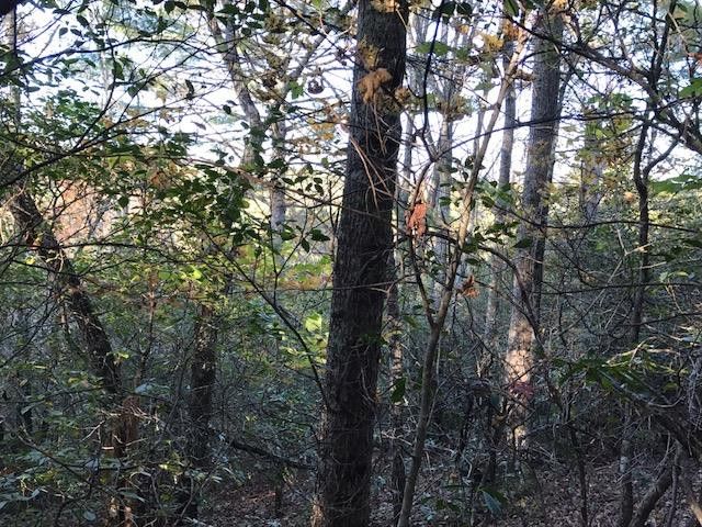 19d&E Braves Landing, Murphy, NC 28906