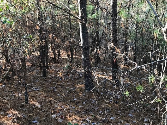 19d&E Braves Landing, Murphy, NC 28906